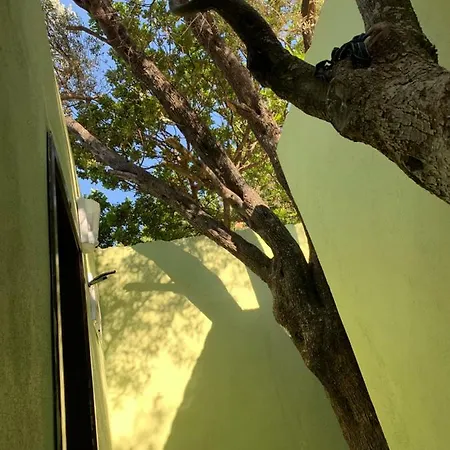 Lodge Στούντιο Διαμέρισμα 300 τ.μ. με 7 ιδιωτικό μπάνιο σε Bayindir *