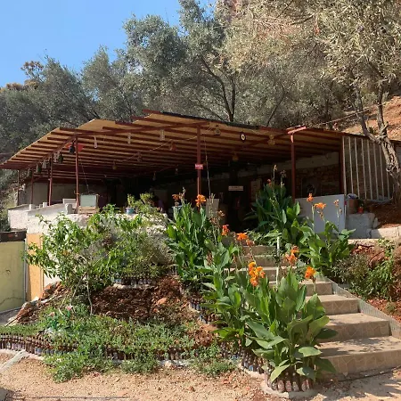 Lodge Στούντιο Διαμέρισμα 300 τ.μ. με 7 ιδιωτικό μπάνιο σε Bayindir Κας